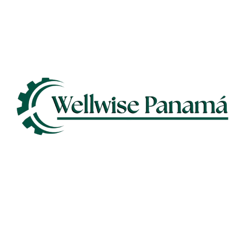 Wellwise Capital Panama